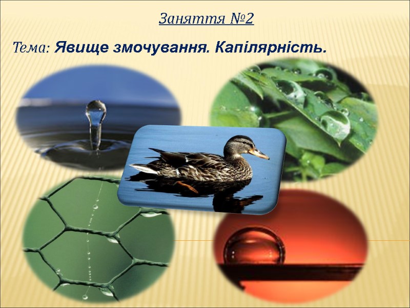 Заняття №2 Тема: Явище змочування. Капілярність.